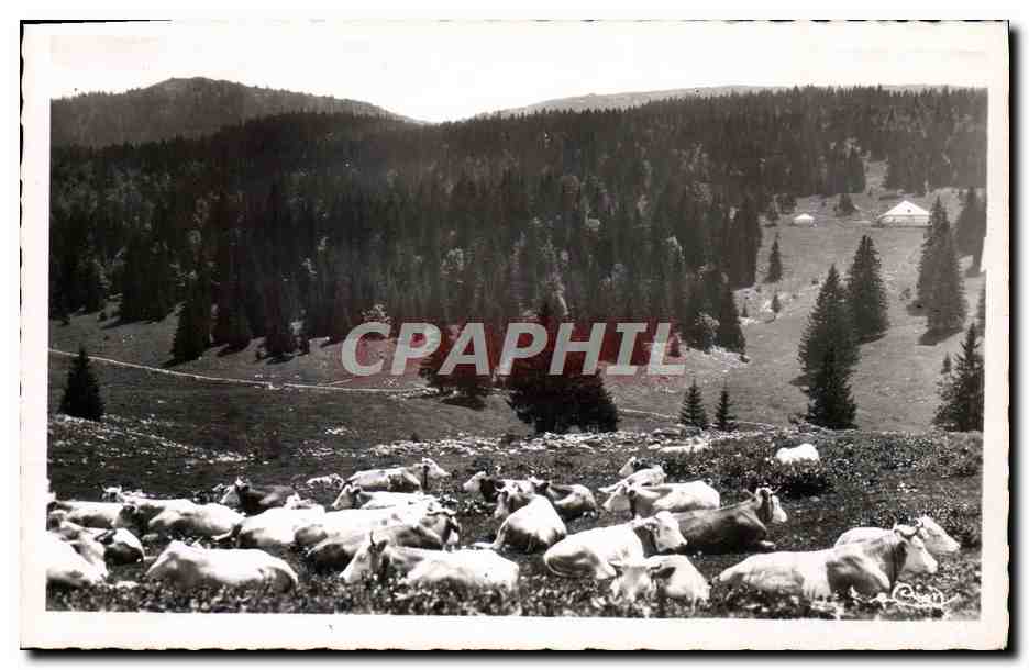 Les estivantes dans le Massif des ROUSSES — Le Jura Pittoresque — PHOTO COUBIER MACON