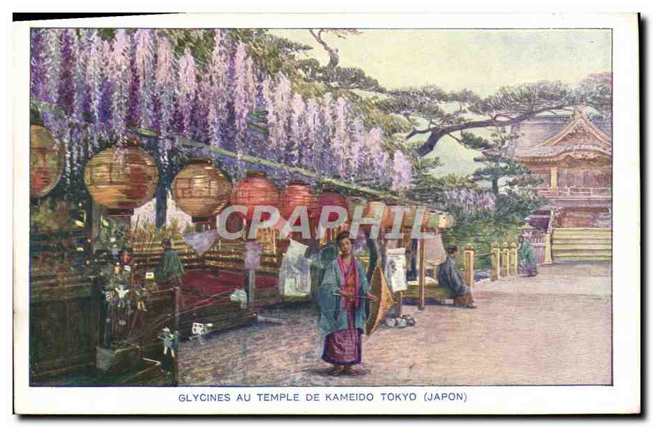 CPA Japon Nippon Glycines au temple de Kameido Tokyo 