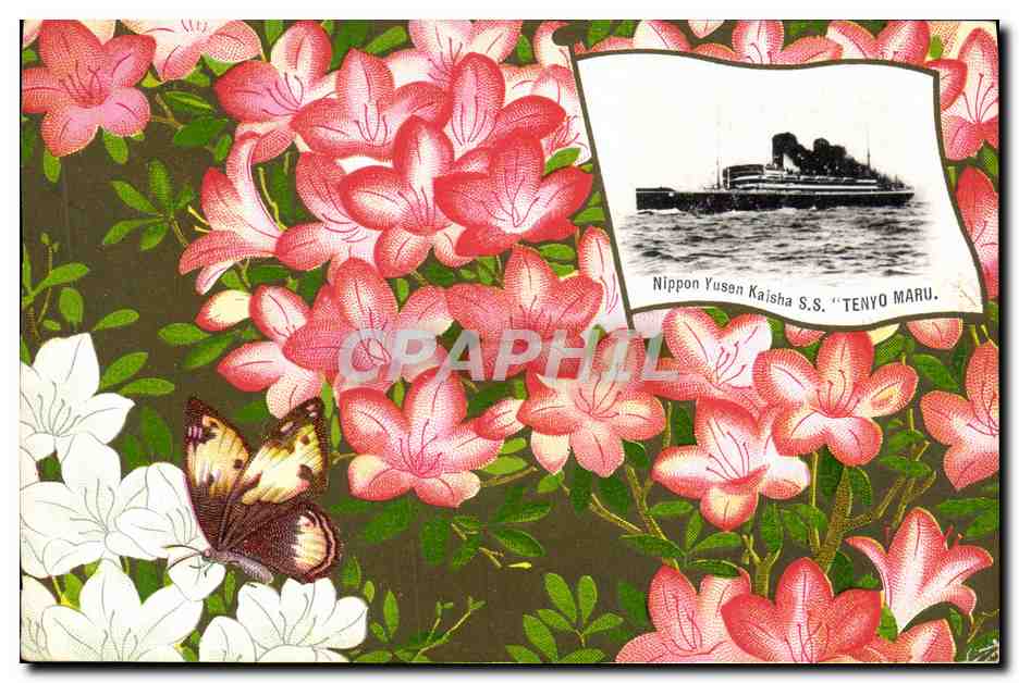 Floraison d'azalées et papillon — S.S. 'Tenyo Maru' — Nippon Yusen Kaisha