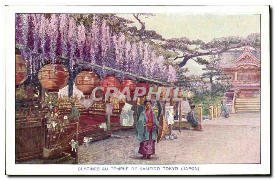 CPA Japon Nippon Glycines au temple de Kameido Tokyo 