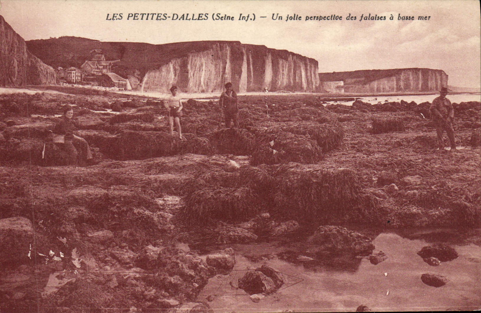 CPA Les Petites Dalles Une jolie perspective des falaises a basse mer 