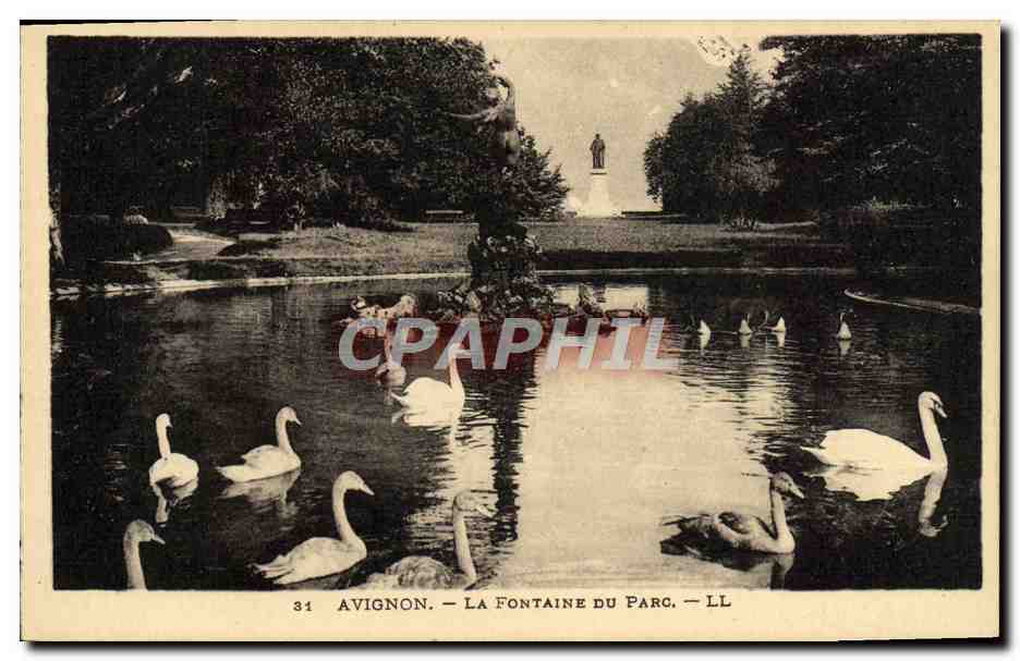 CPA Avignon La Fontaine Du Parc Cygnes