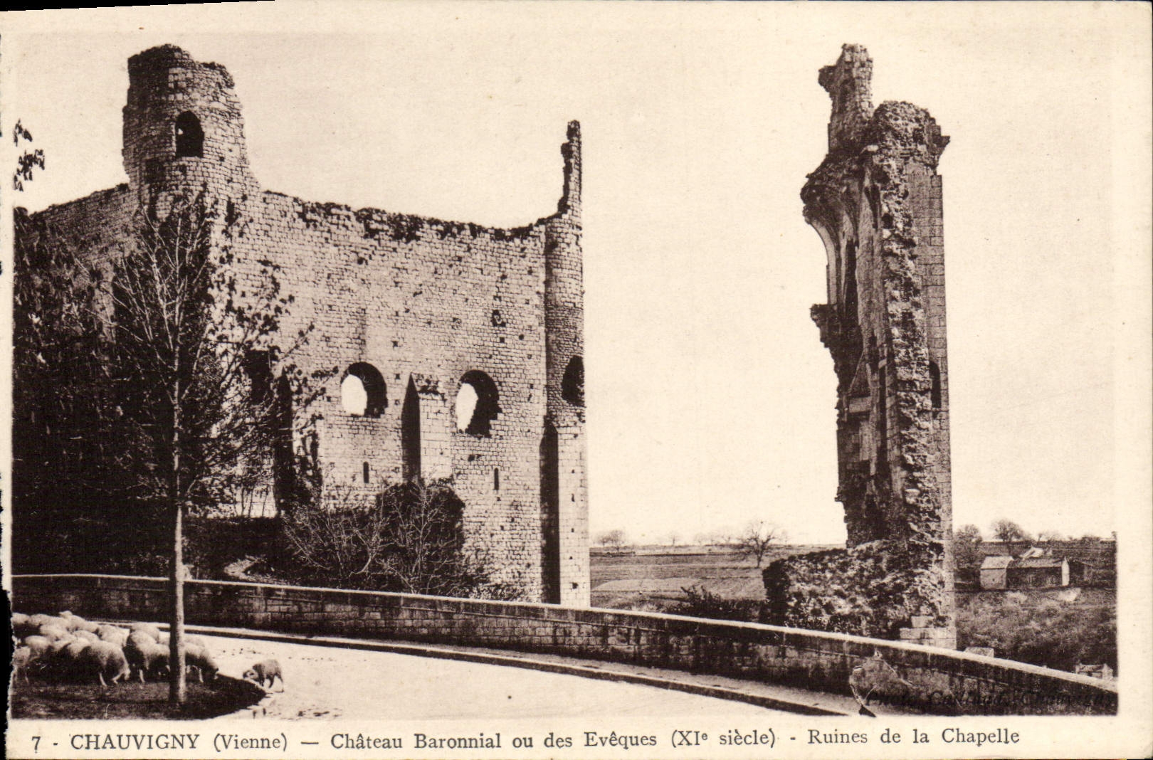 Chauvigny (Vienne) — Château Baronial ou des Évêques (XIe siècle) - Ruines de la Chapelle