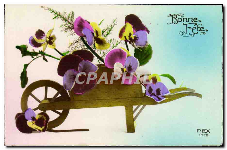CPA Fantaisie Fleurs 