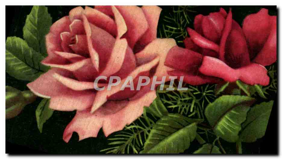 CPA Fantaisie Fleurs Roses 