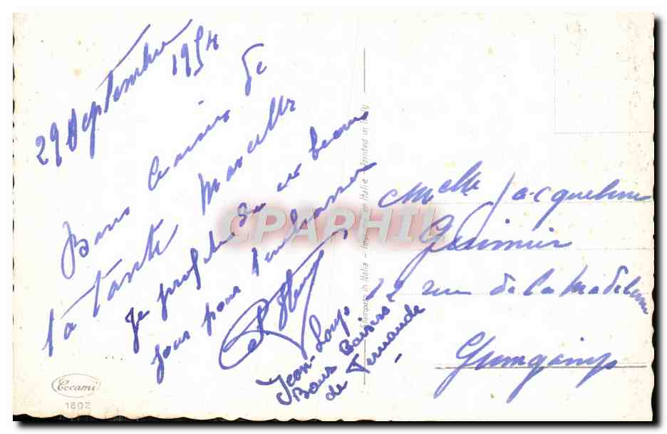 CPA Fantaisie Fleurs Roses  — Verso