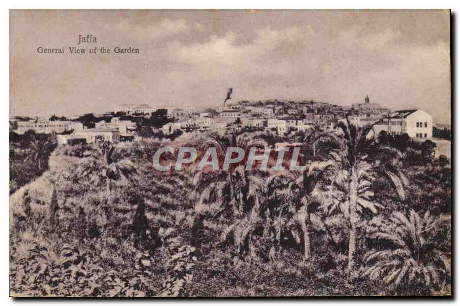 CPA Jaffa General View Of The Garden