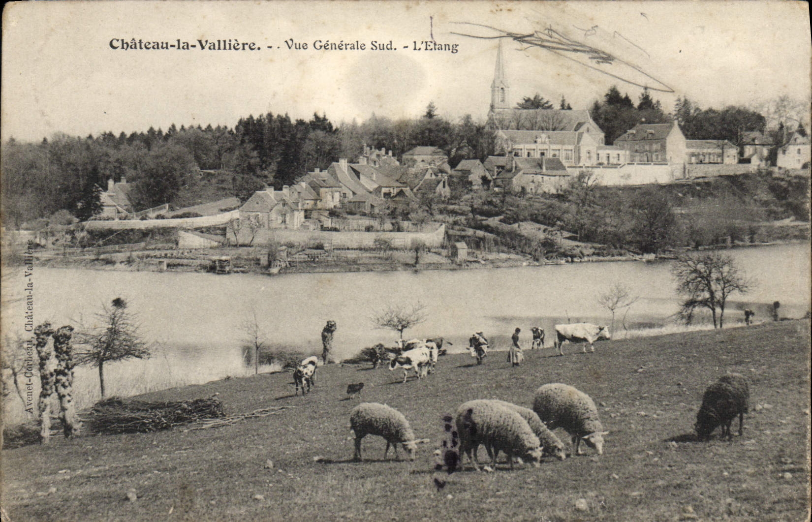 CPA Chateau La Valliere Vue Generale Sud