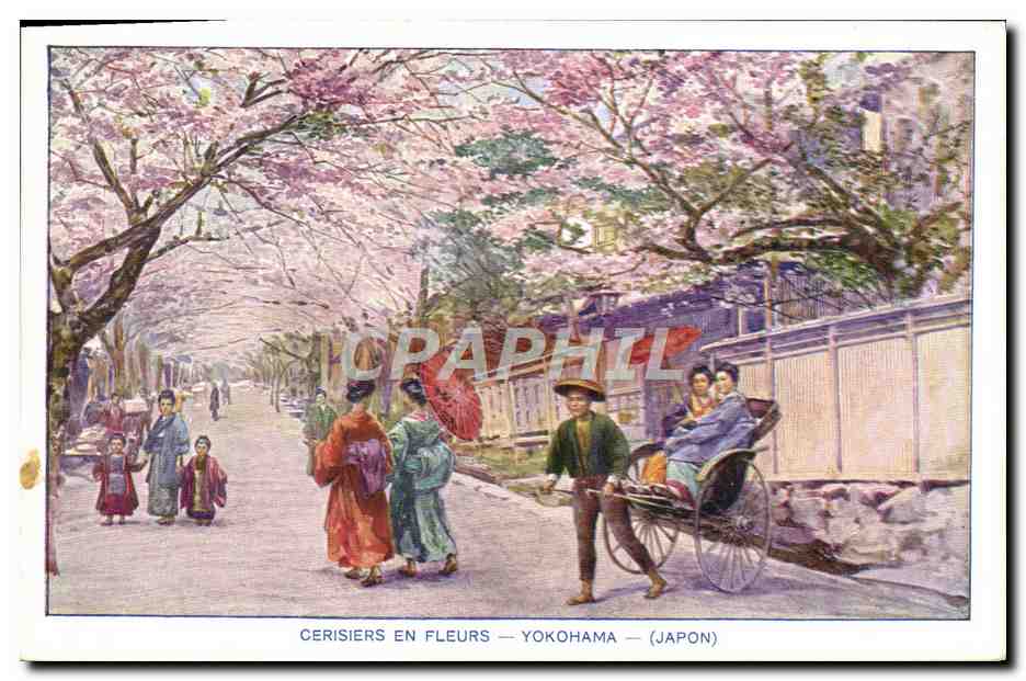 CPA Japon Nippon Yokohama Cerisiers en fleurs 