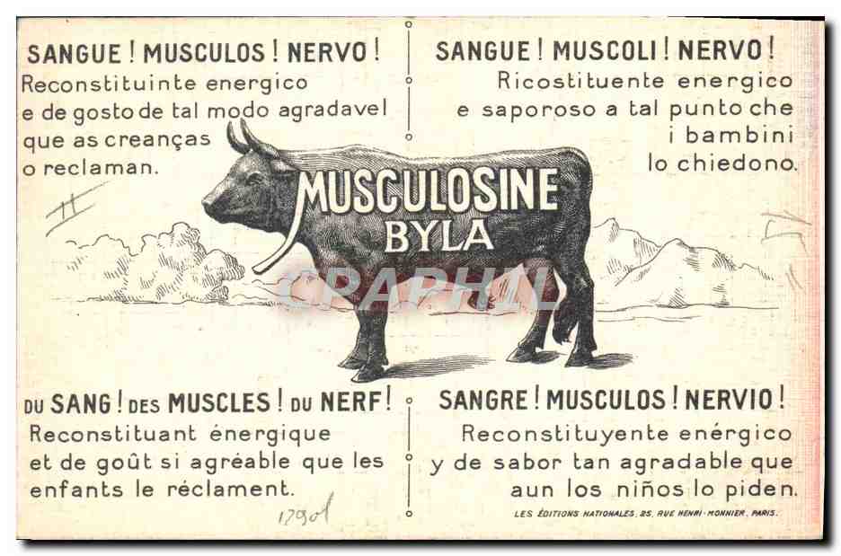 Musculosine Byla — Japan — F. S. Fonsela, n° XI — Back