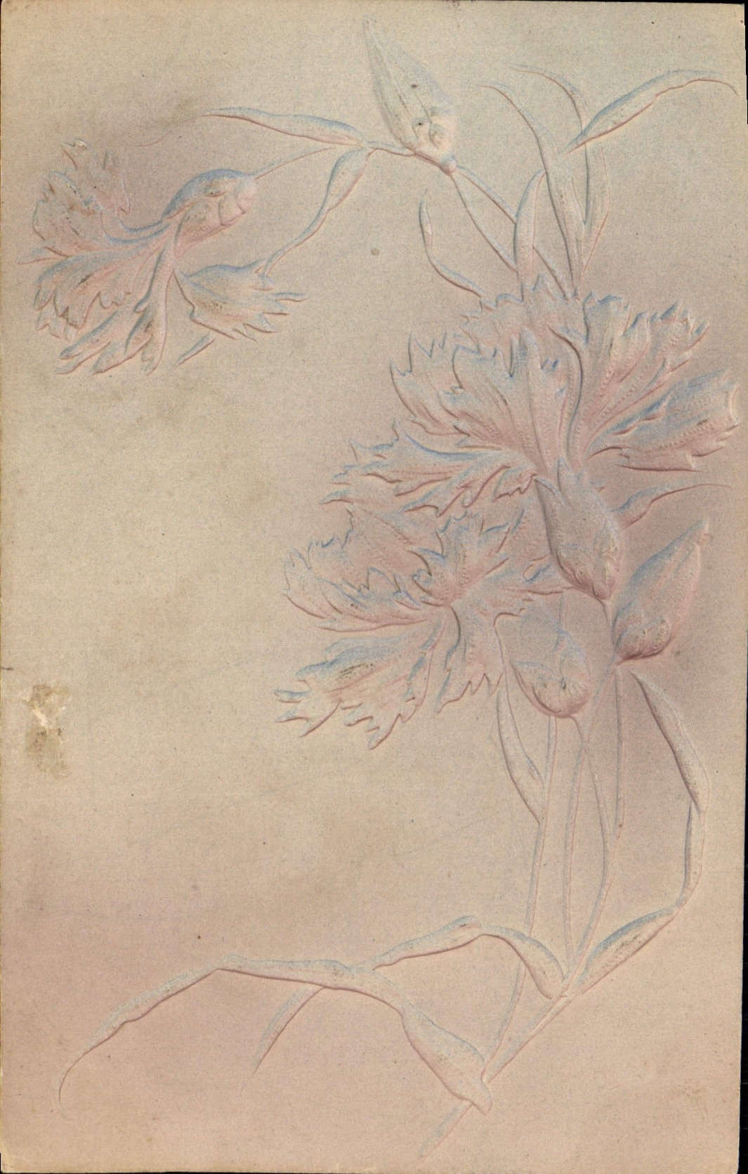 CPA Fantaisie Fleurs