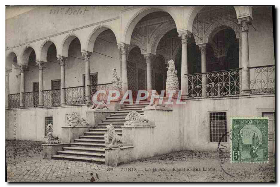 CPA Tunis Le Bardo Escalier des lions 