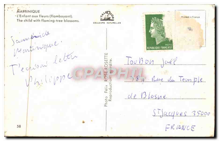CPM Martinique L Enfant Aux fleurs — Rückseite