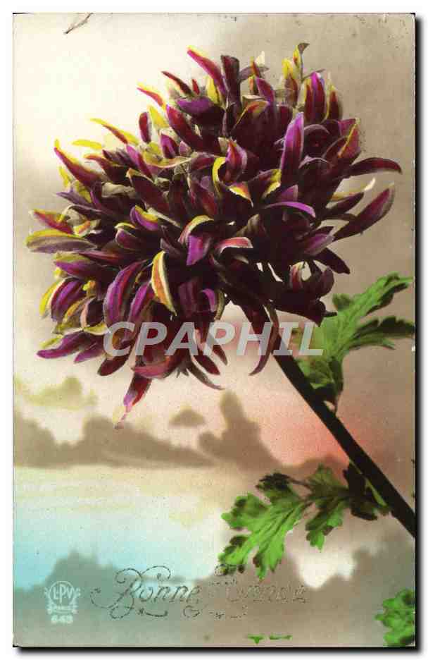 CPA Fantaisie Fleurs