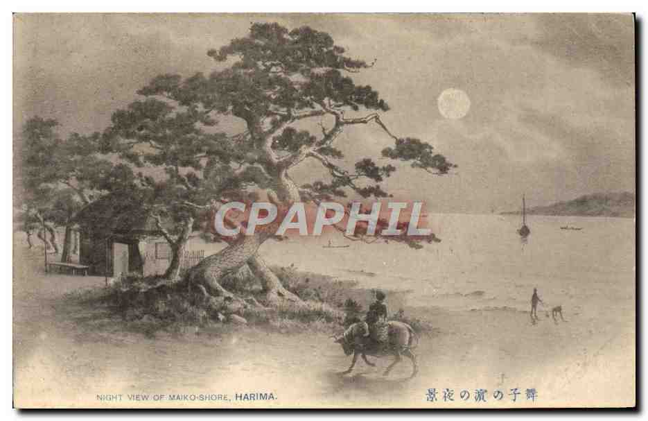 CPA Japon Nippon Night view of Maiko Shore Harima 