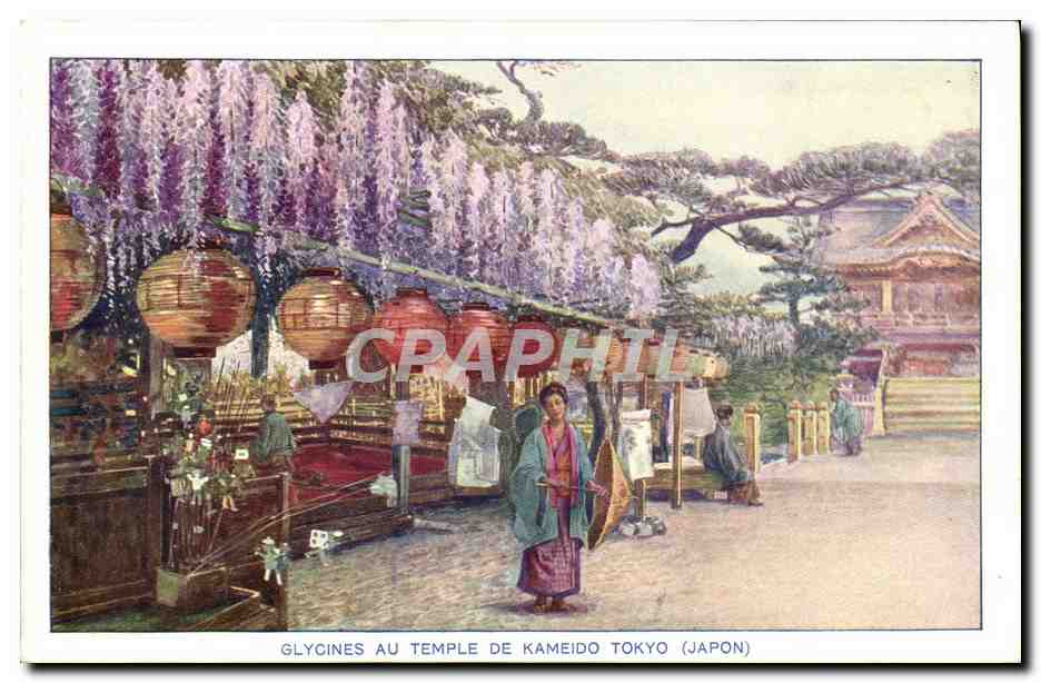 CPA Japon Nippon Glycines au temple de Kameido Tokyo 