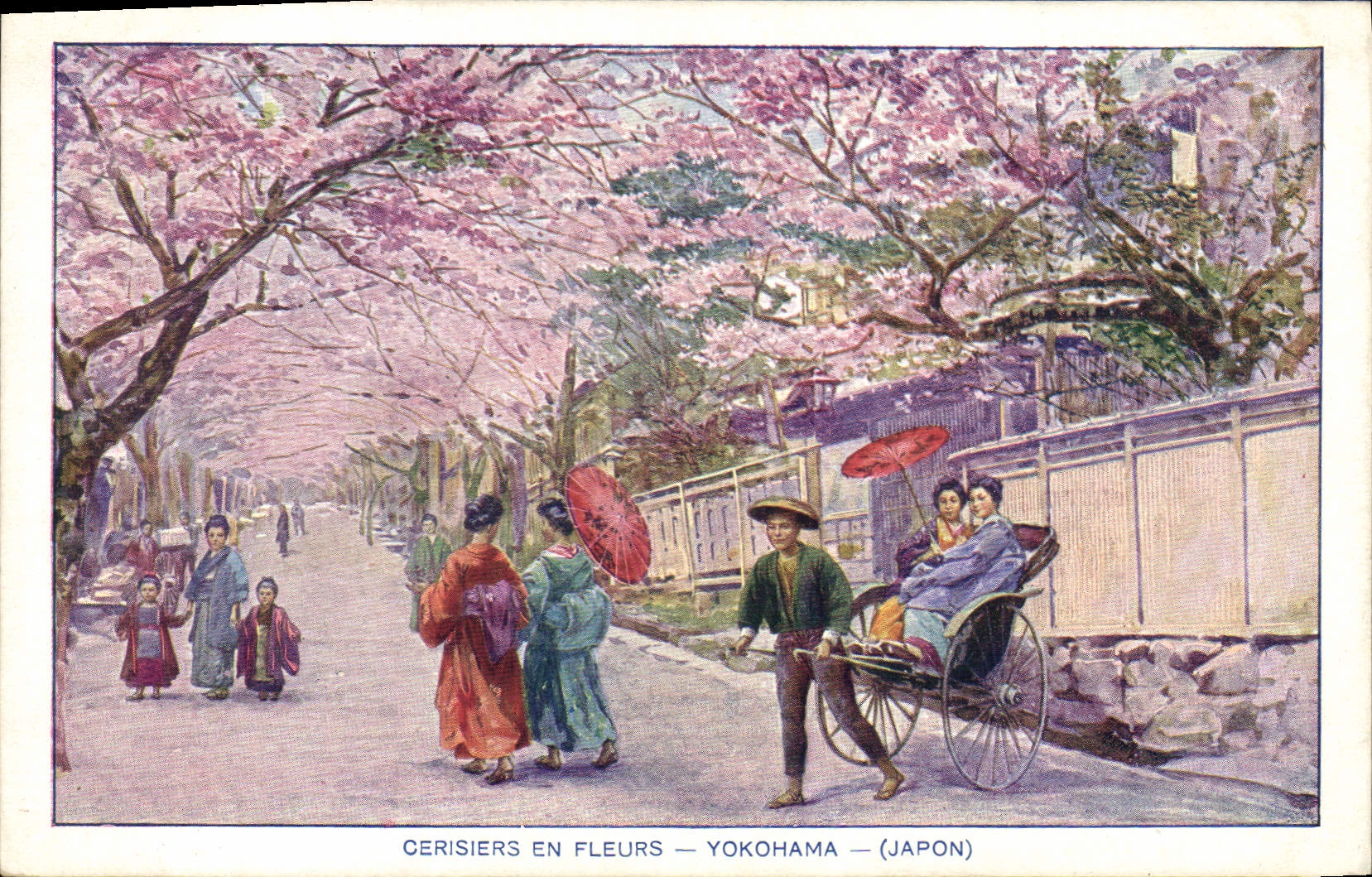 CPA Japon Nippon Cerisiers en fleurs Yokohama 