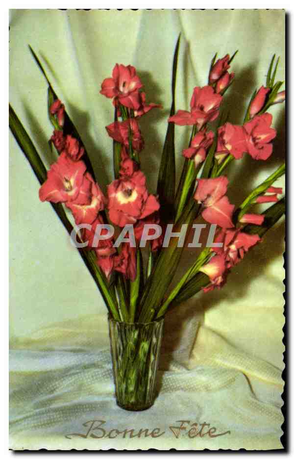 CPA Fantaisie Fleurs