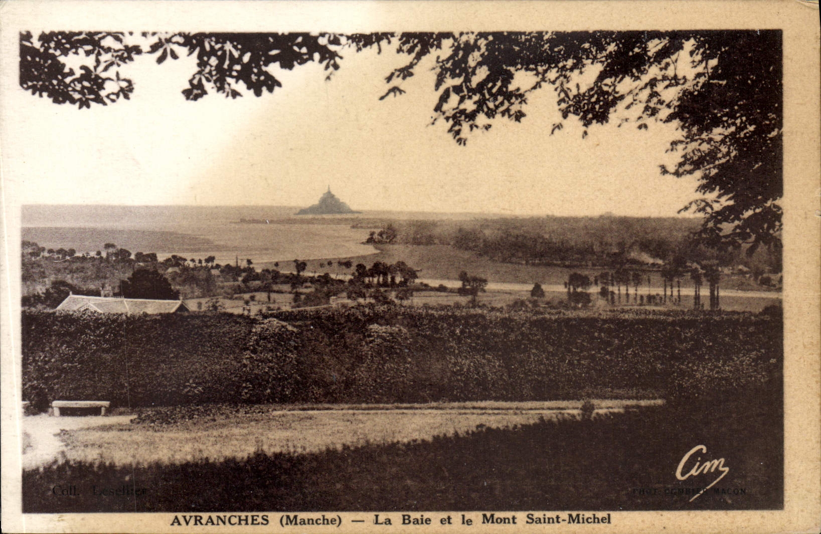 CPA Avranches La Baie Et Le Mont Saint Michel