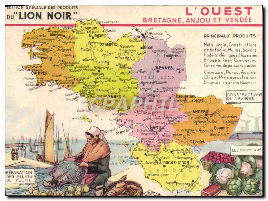 Image Lion noir Bretagne Anjou et Vendee