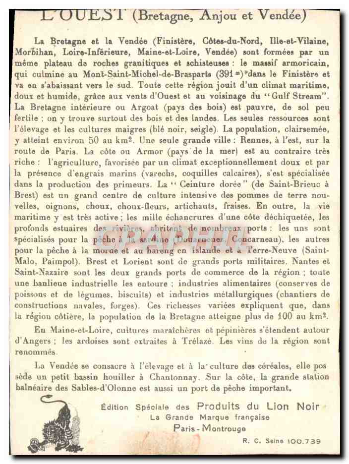 Image Lion noir Bretagne Anjou et Vendee — Verso