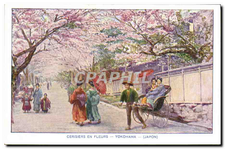 CPA Japon Nippon Cerisiers en fleurs Yokohama Folklore