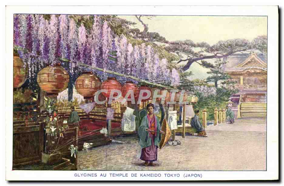 CPA Japon Nippon Glycines au temple de Kameido Tokyo Folklore
