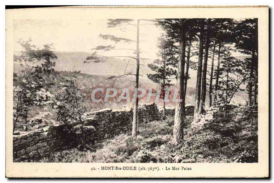 CPA Mont Ste Odile Le mur paien