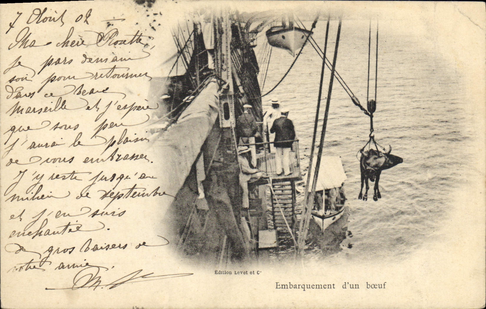 Embarquement d'un bœuf — Édition Levet et C° — n° de série non visible