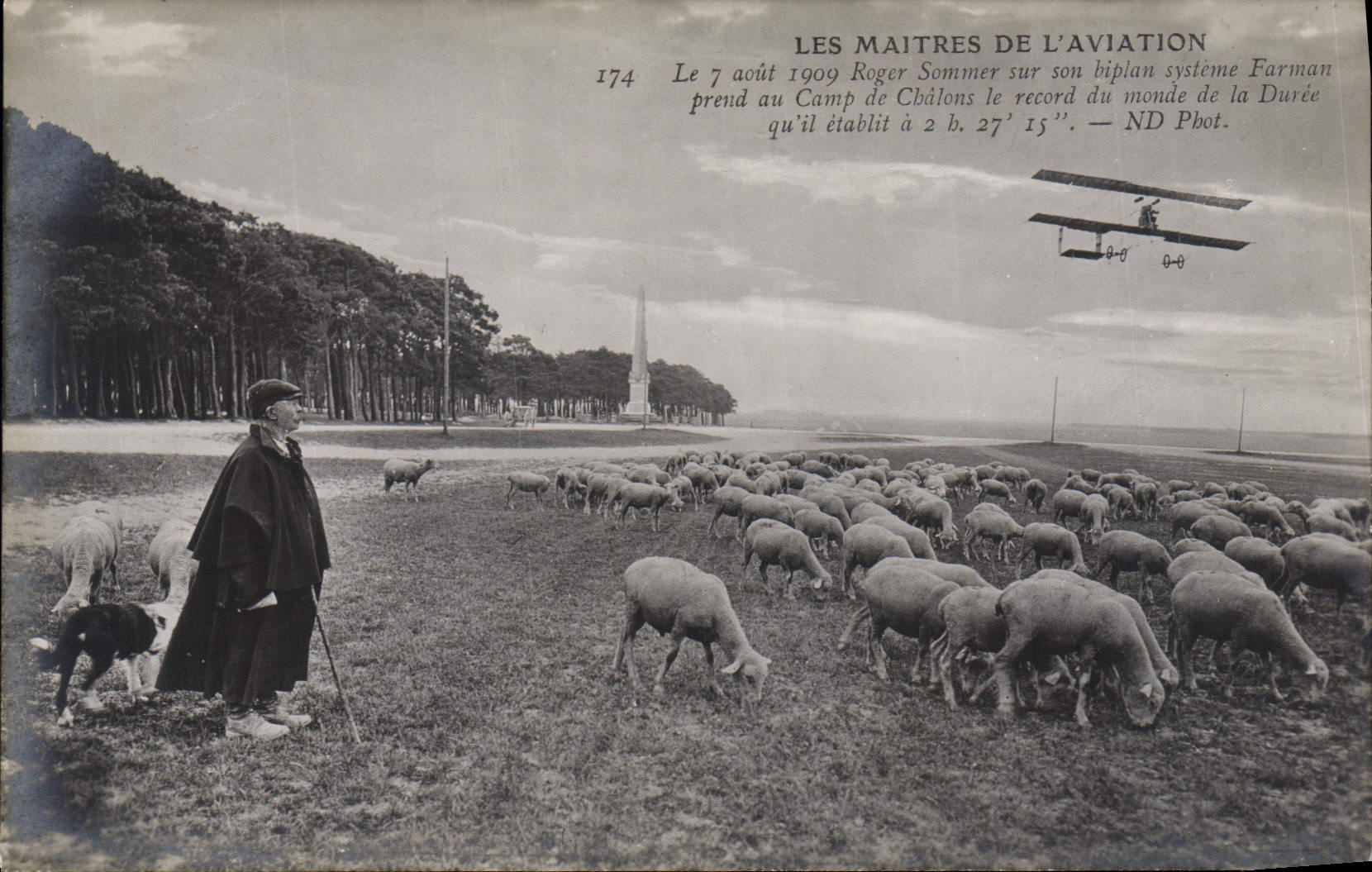 CPA Avion Aviation Maitres de l'aviation Roger Sommer sur son biplan Systeme Farman Moutons Chien