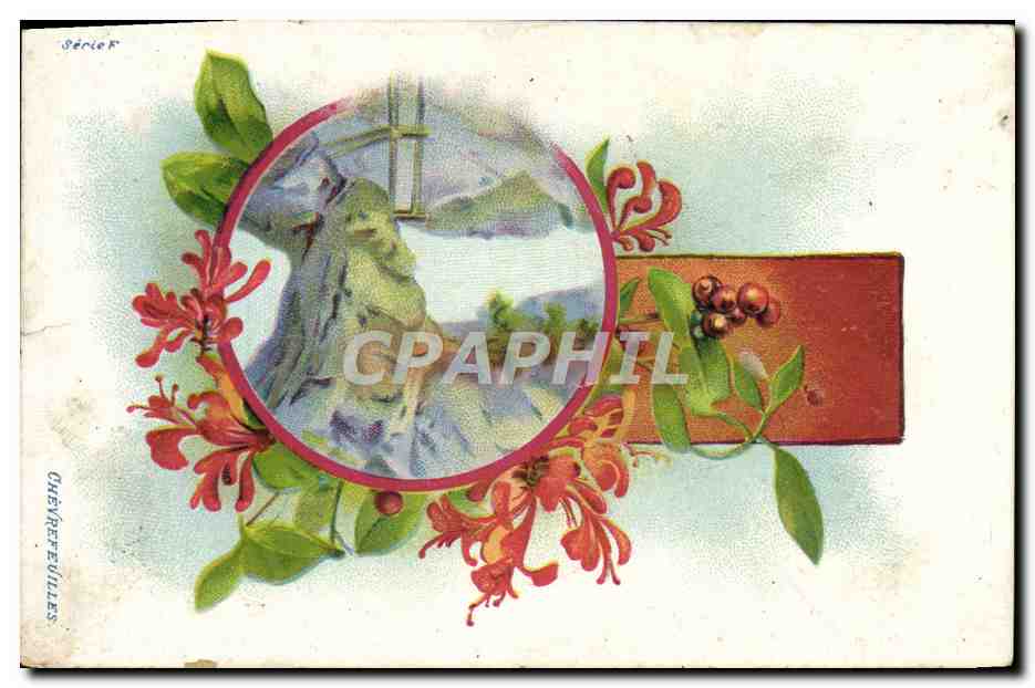 CPA Fantaisie Chevrefeuilles Fleurs