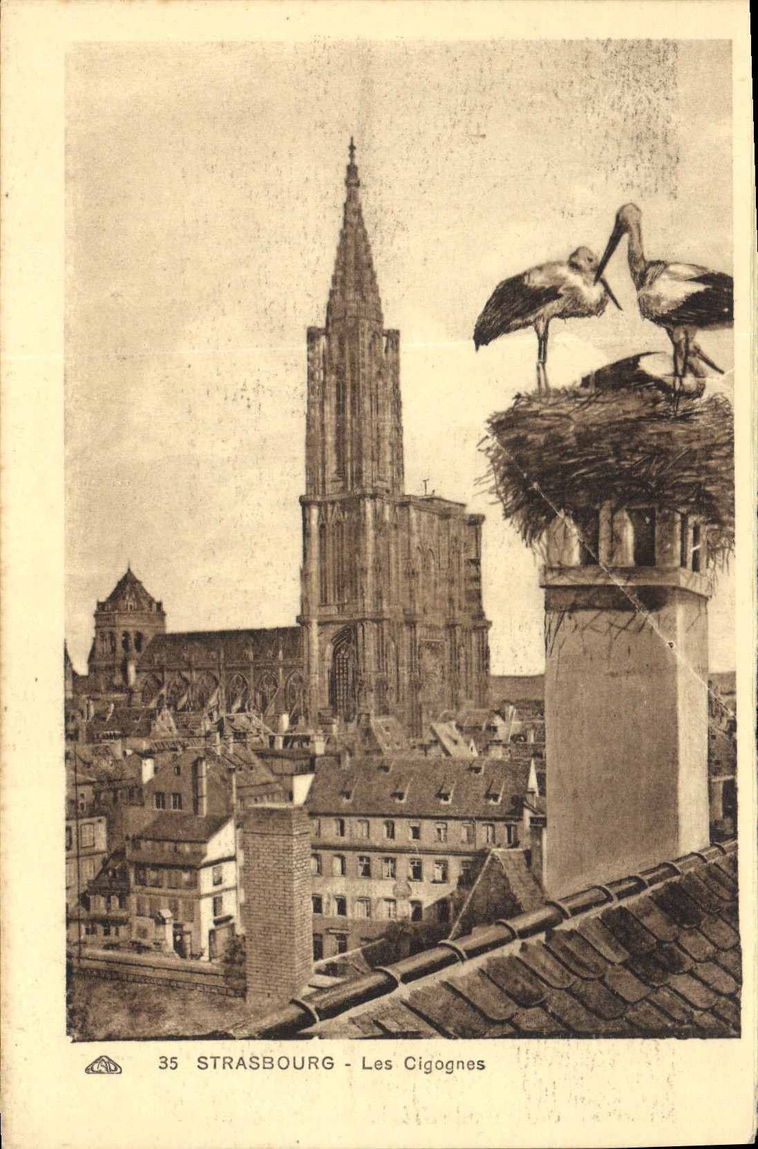 CPA Strasbourg les Cigognes