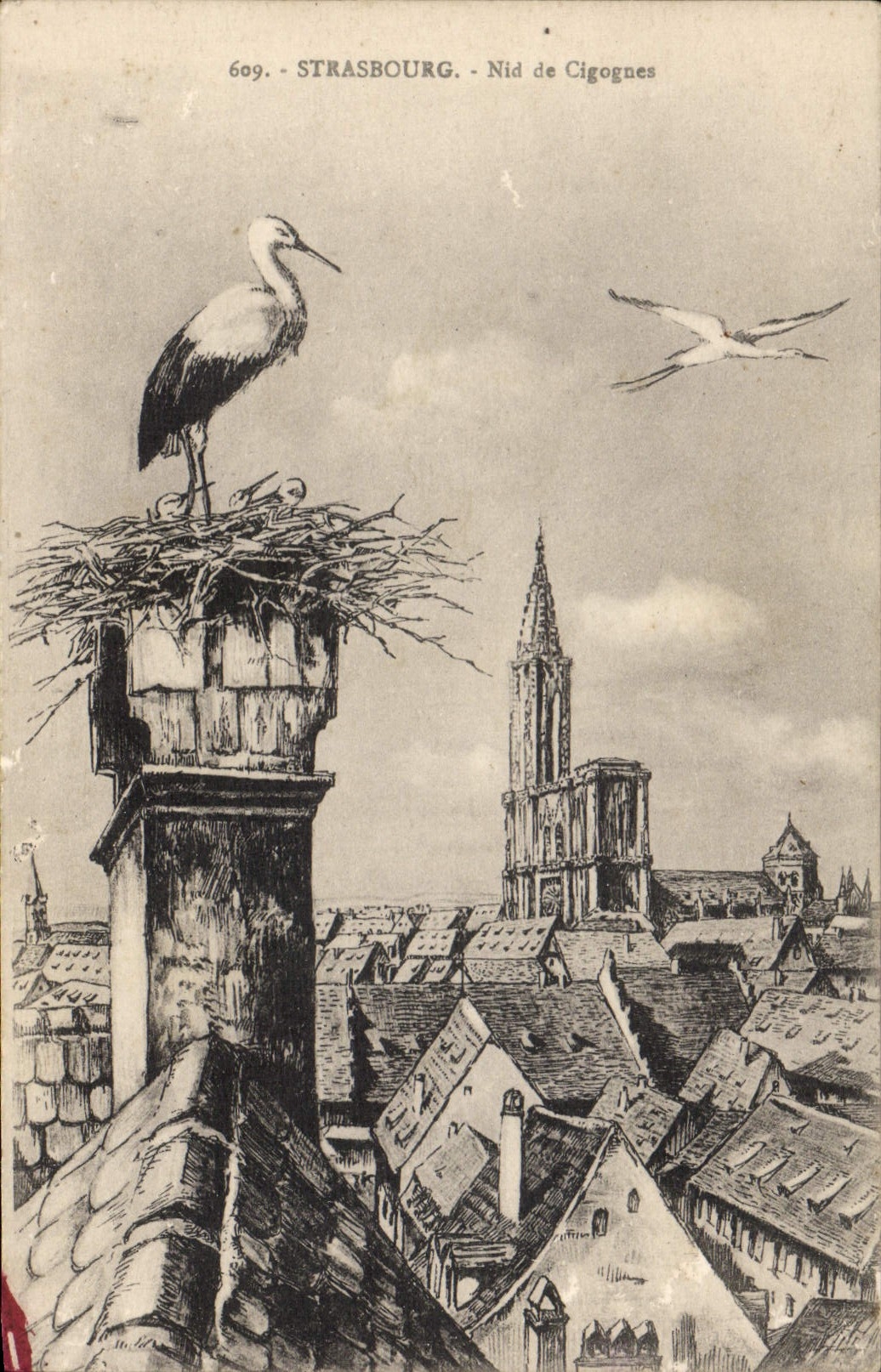 Titre par défaut