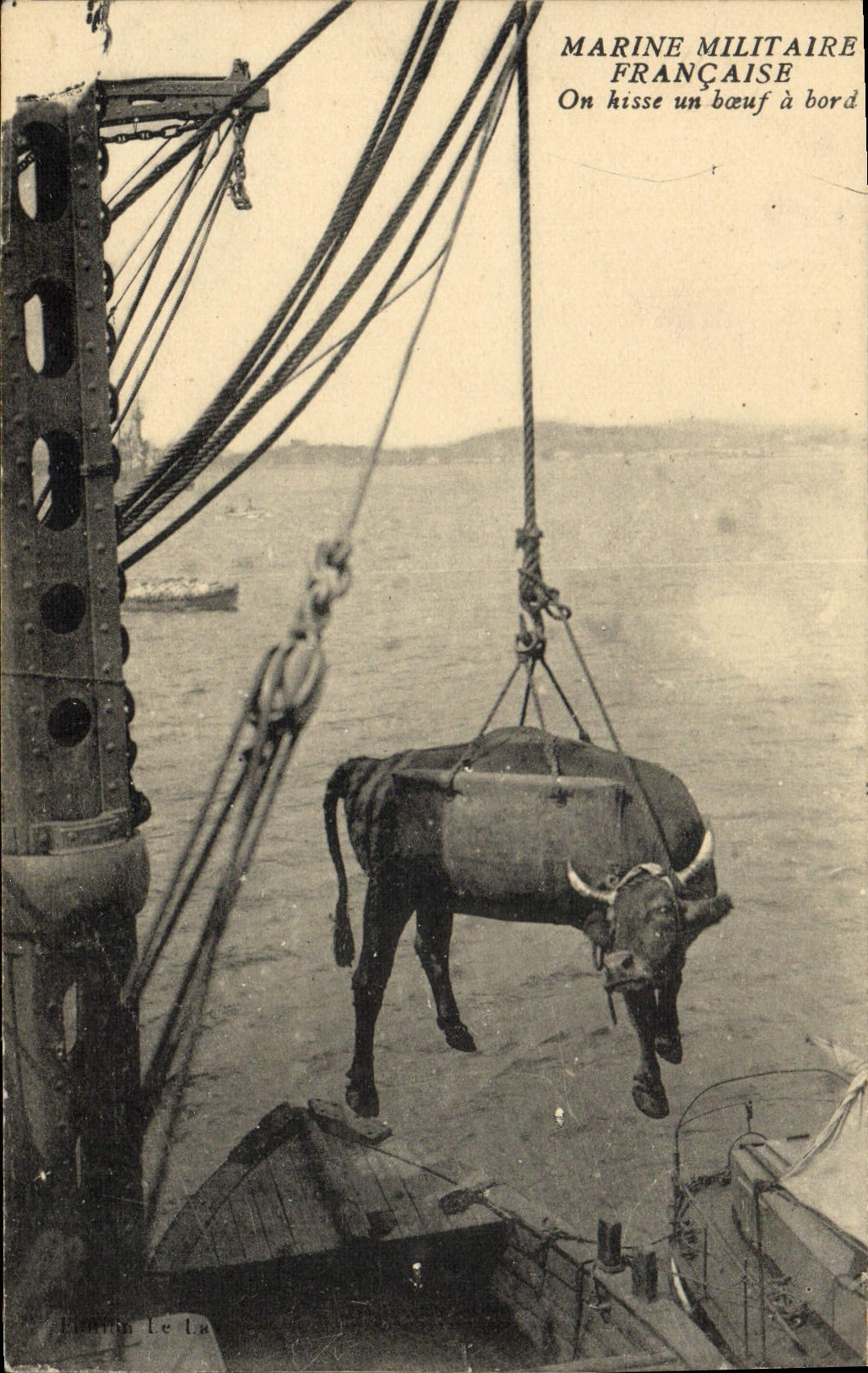 CPA Bateau de guerre On hisse un boeuf a bord