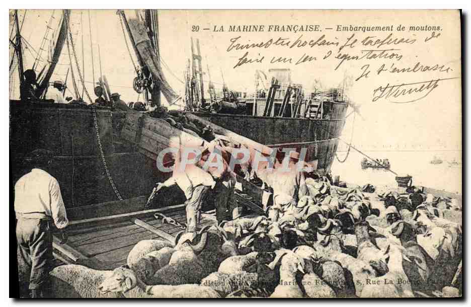 CPA Bateau de guerre Embarquement de moutons