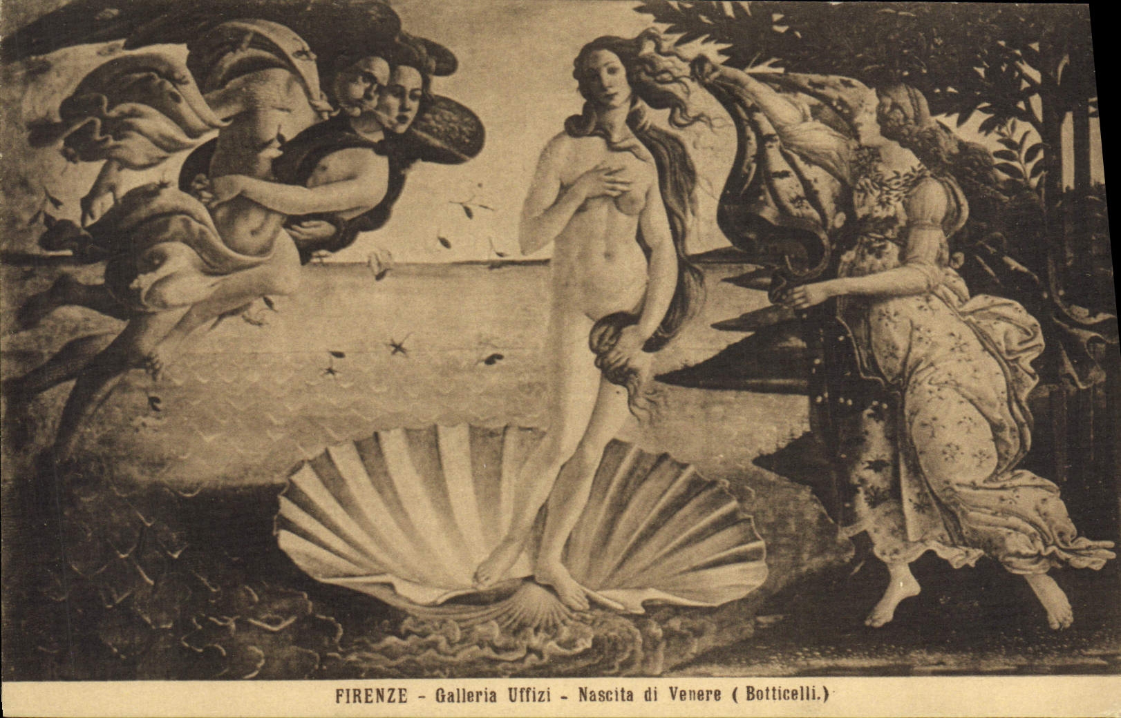 CPA Firenze Galleria Uffizi Nascita di Venere Botticelli