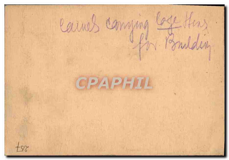 Photo Chameaux Egypte ? — Verso