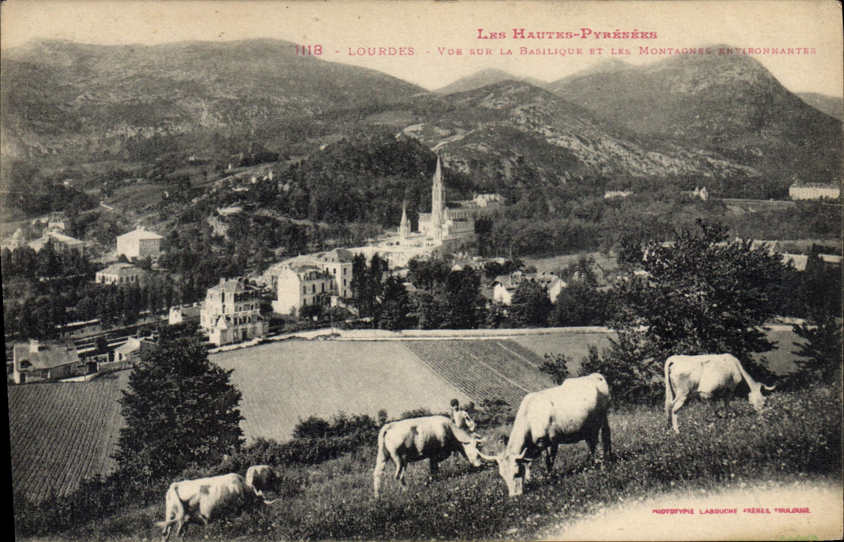 CPA Les Hautes Pyreness Lourdes Vue sur la basilique et les montagnes environnantes Vaches