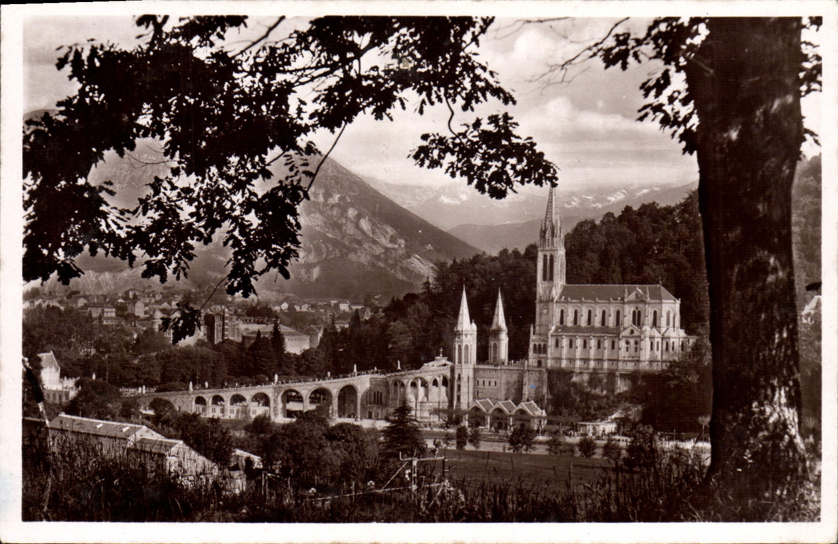 CPA Lourdes La basilique et le Pic du Jer