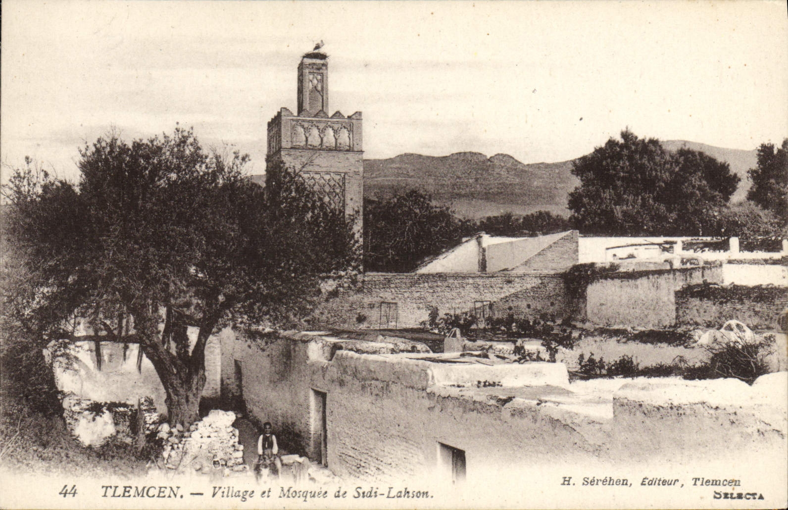 CPA Tlemcen Village et mosquee de Sidi Lahson 