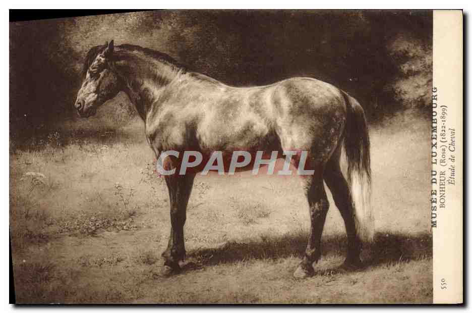 CPA Paris Musee du Luxembourg Bonheur Etude de cheval