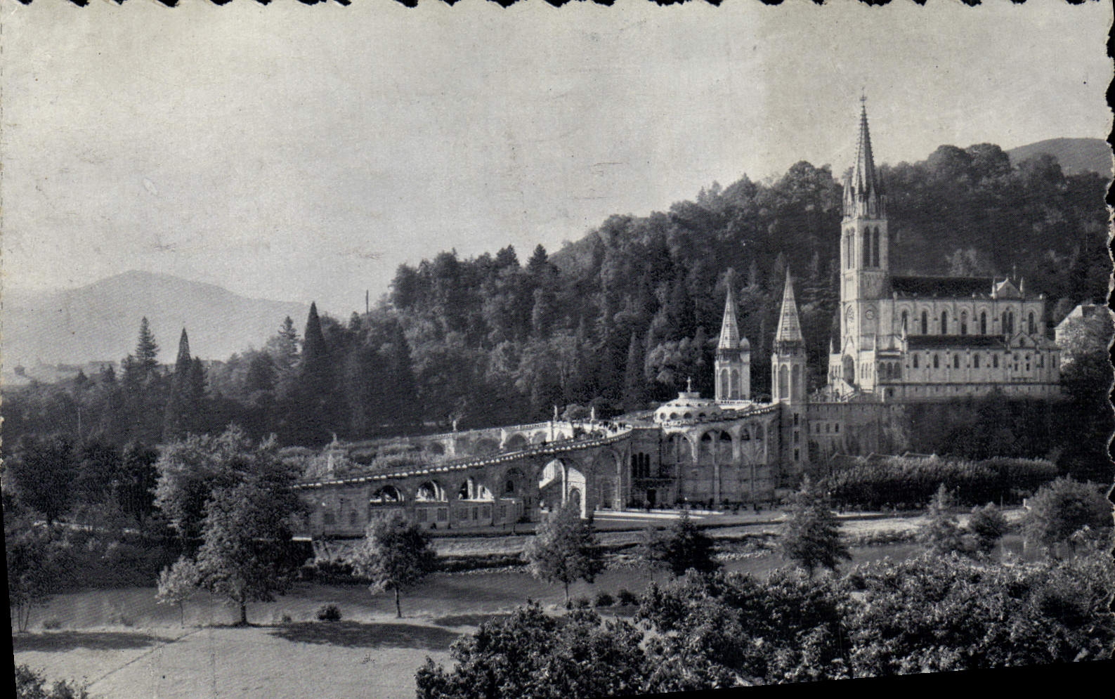 CPM Lourdes La Basilique Vue laterale