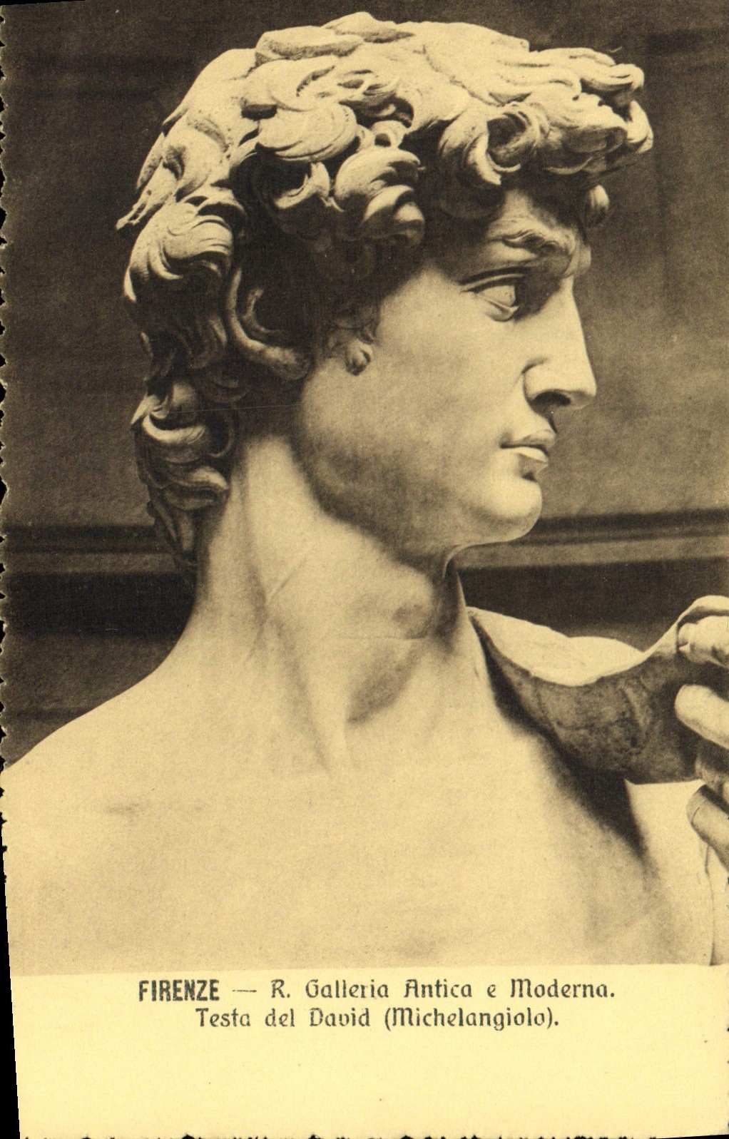 Tête de David — Michel-Ange — Galleria Antica e Moderna, Florence