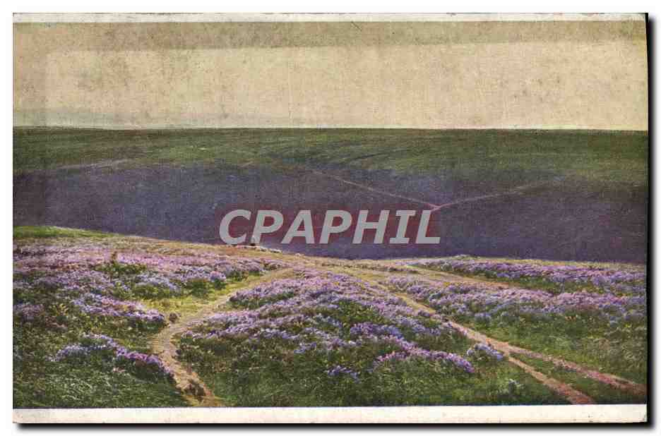 Lande aux Bruyères — Plateau de Gar, Hautes-Pyrénées — W. Oidier Pouget, n°649
