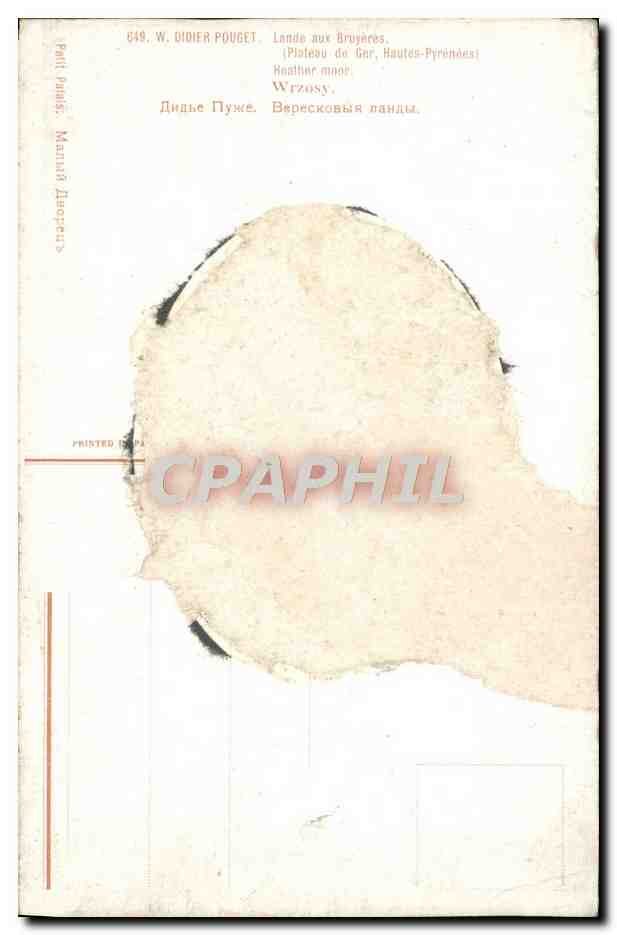 Lande aux Bruyères — Plateau de Gar, Hautes-Pyrénées — W. Oidier Pouget, n°649 — Verso