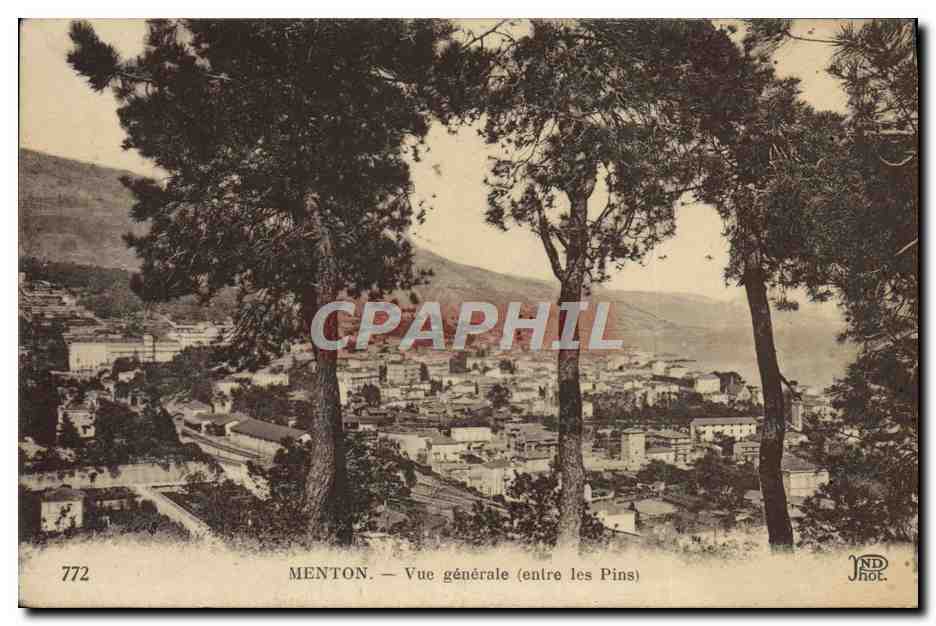CPA Menton Vue Generale entre les Pins