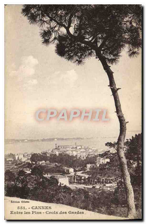 CPA Cannes Entre Les Pins Croix Des Gardes