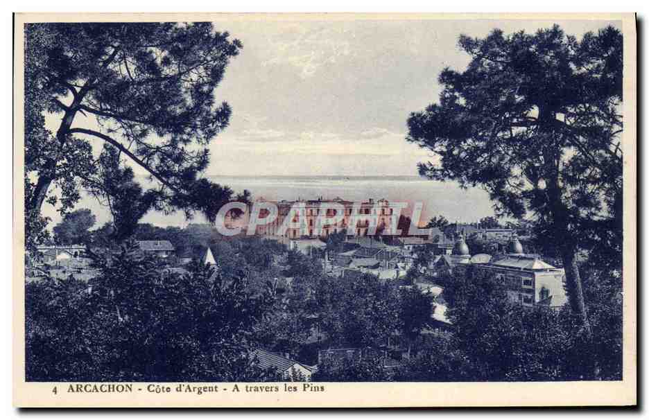 CPA Arcachon Cote d'Argent A travers les Pins