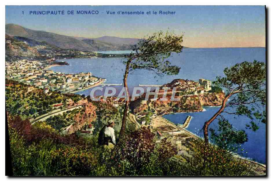 CPA Principaute De Monaco Vue d'Ensemble et le Rocher