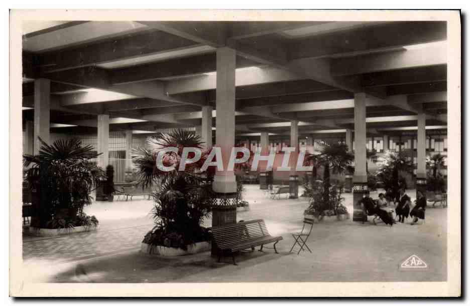 CPM Vittel Le palmarium Interieur
